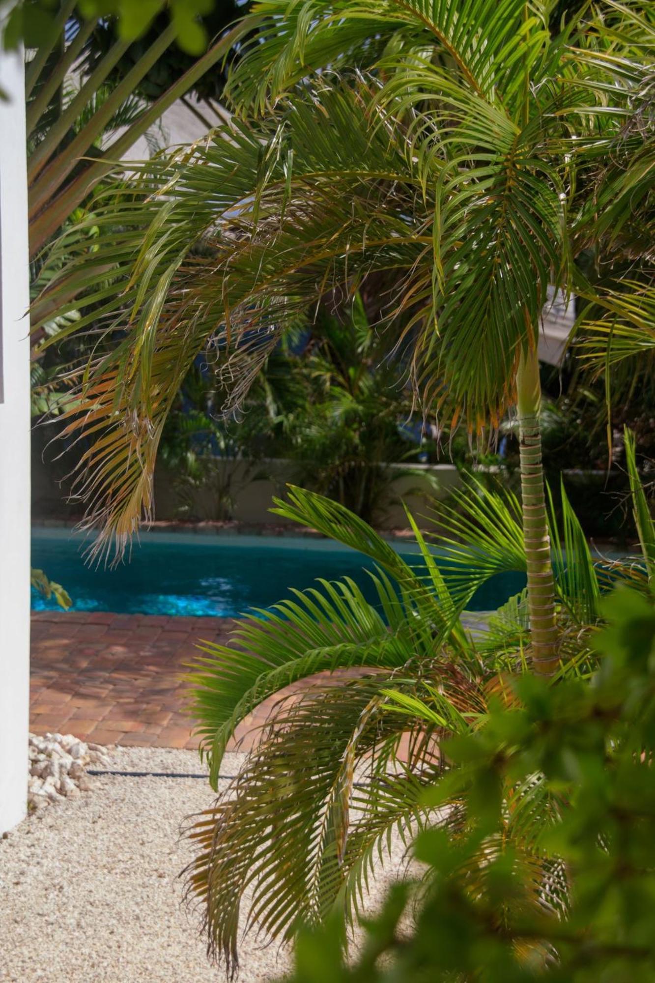 Major. Suites Curacao Willemstad Zewnętrze zdjęcie